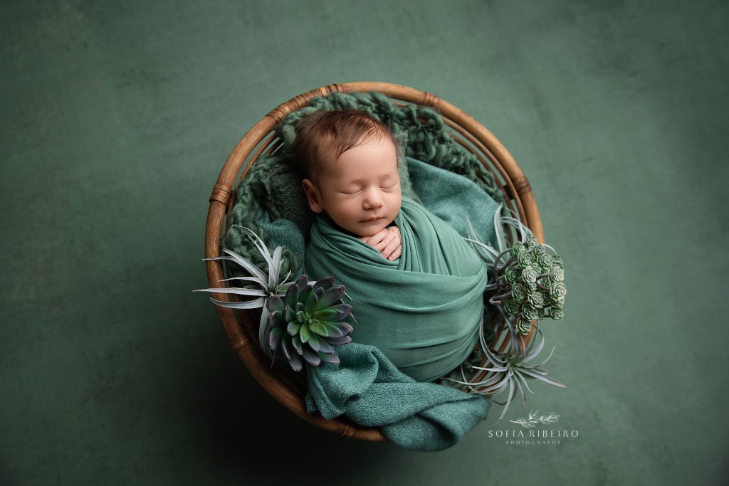 baby boy is posed in a basket prop in tones of green by a nj newborn photographer