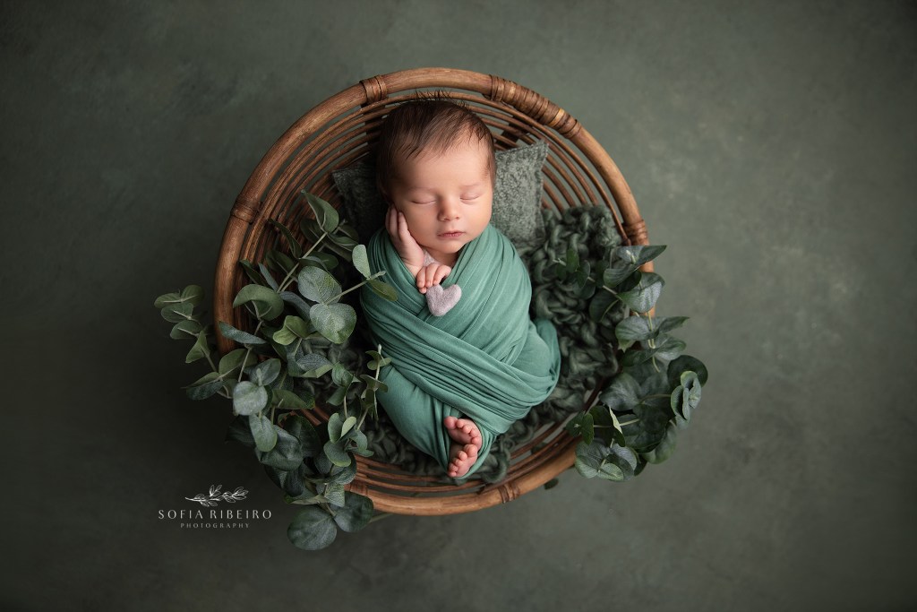 newborn baby boy is wrapped in green in a wicker prop against a green backdrop with foliage by a berkeley heights nj newborn photographer