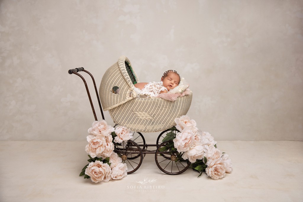 a newborn baby girl is posed in a vintage style carriage prop with flowers for a newborn session