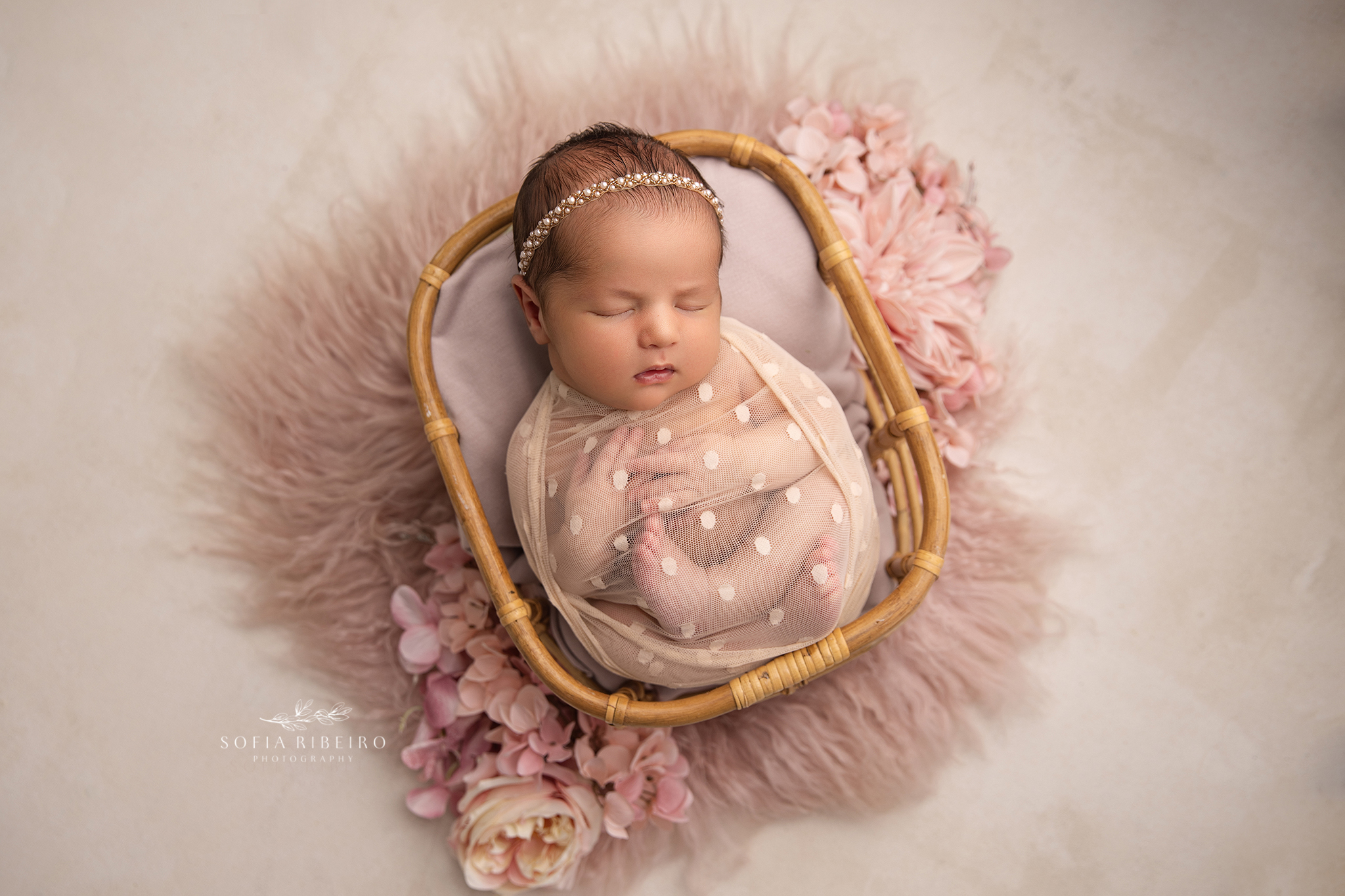 Maplewood NJ Newborn Photographer