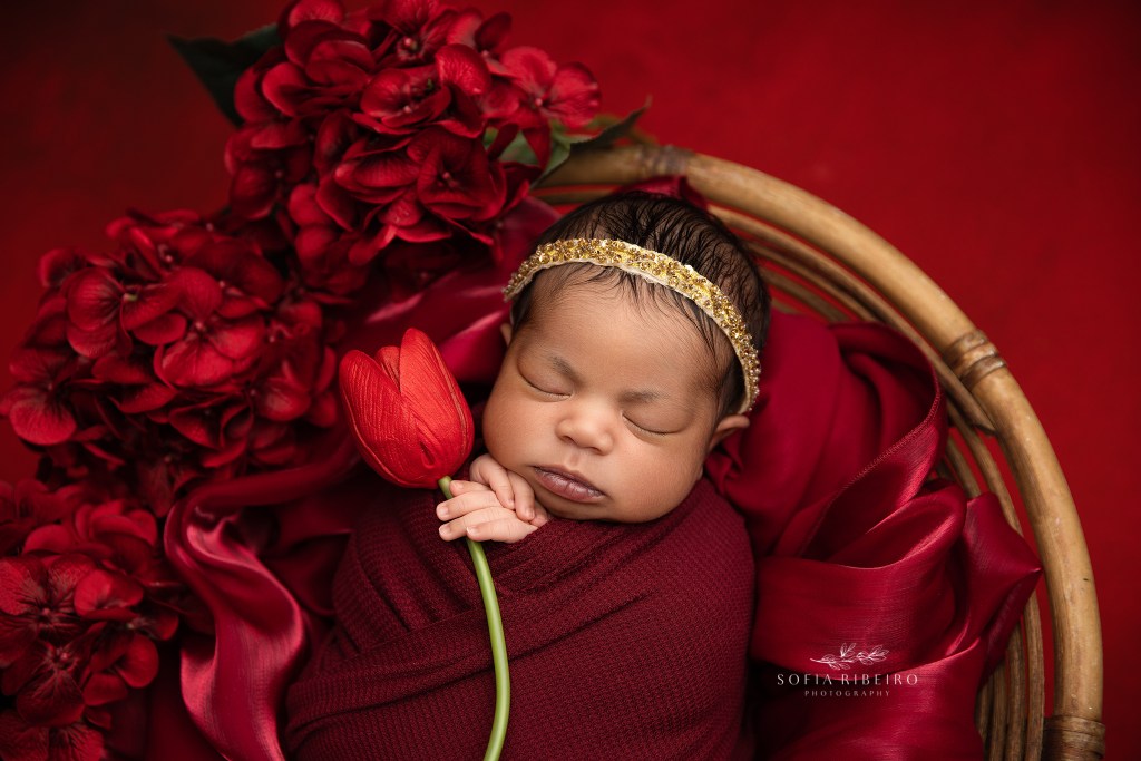 a beautiful baby girl is wrapped in red and surrounded with flowers for a newborn photo