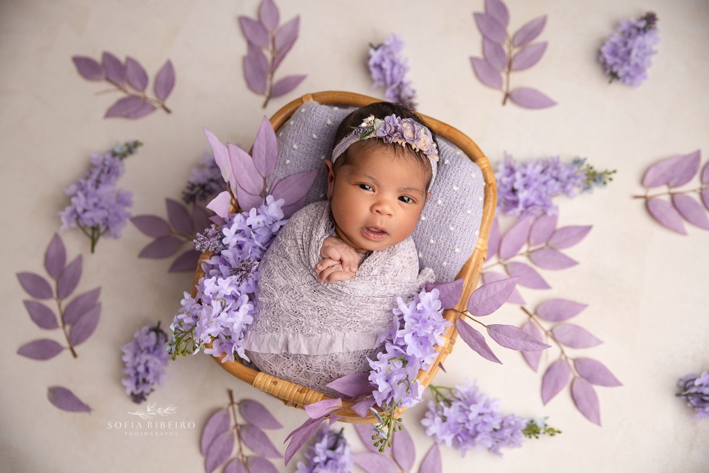 a sussex nj newborn photography portrait studio captures a baby girl surrounded by lilac petals in a basket prop