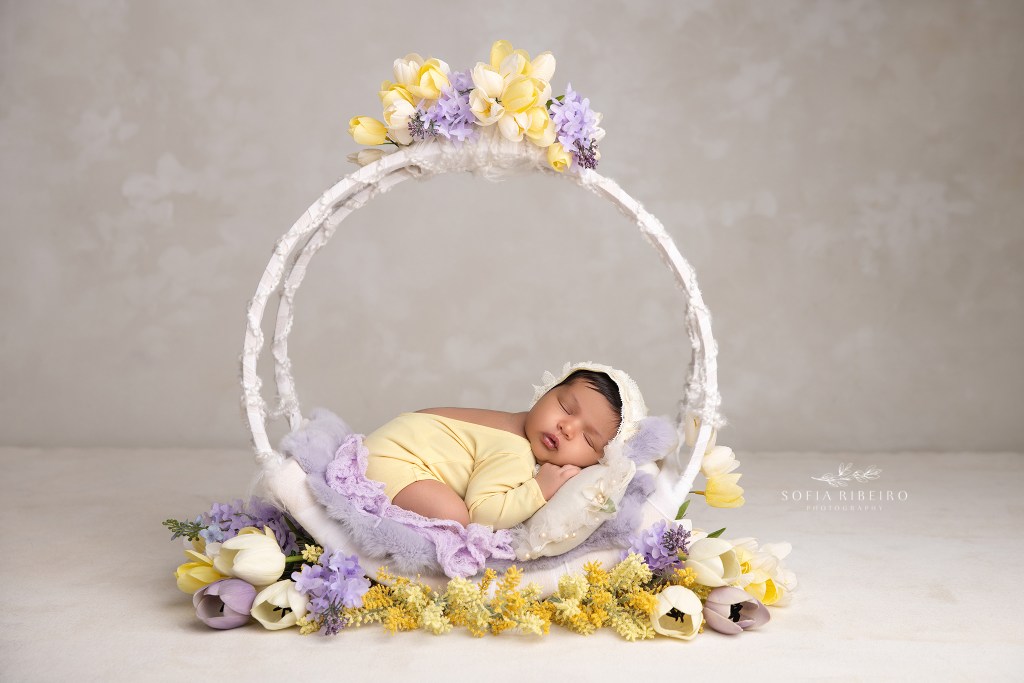 east brunswick nj newborn photographer captures baby in a floral hoop in purple and yellow tones