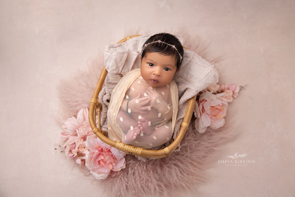 east brunswick nj newborn photographer captures a baby girl in a sheer pink wrap in a bamboo basket