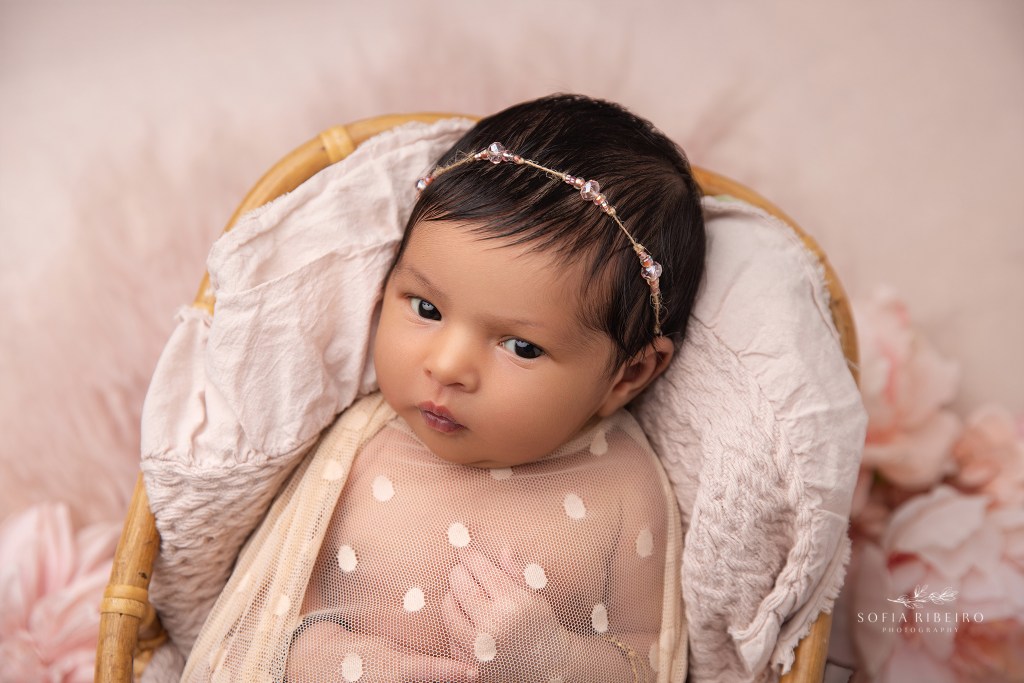 new baby girl looks to camera in pink sheer swaddle during a newborn photo session