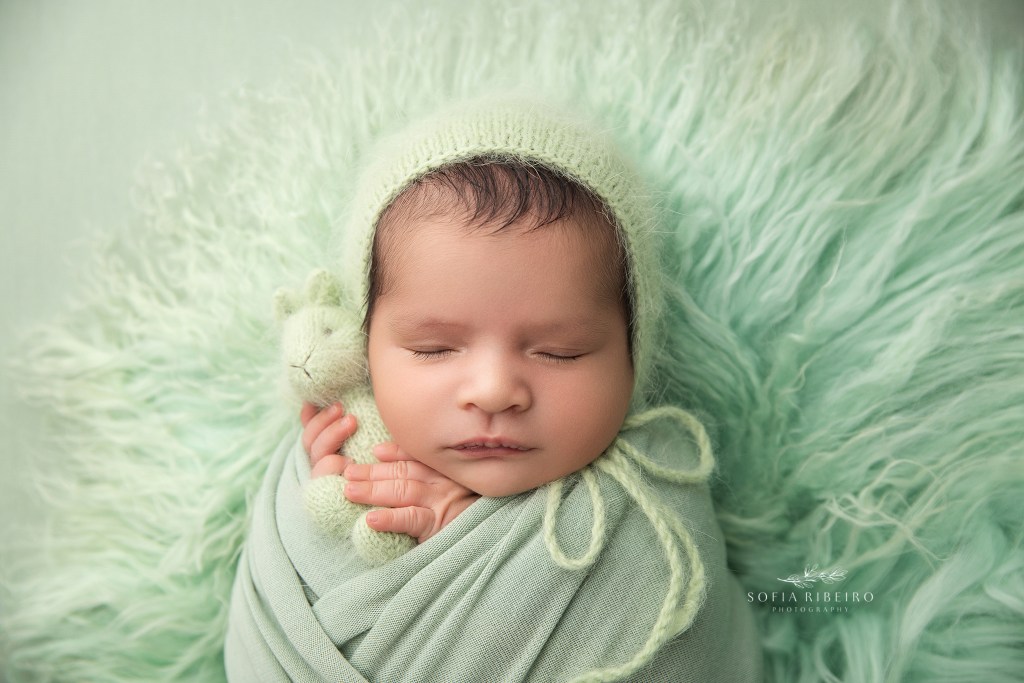 Newborn swaddled in sage green wraps, resting with tiny hands folded over a stuffed toy