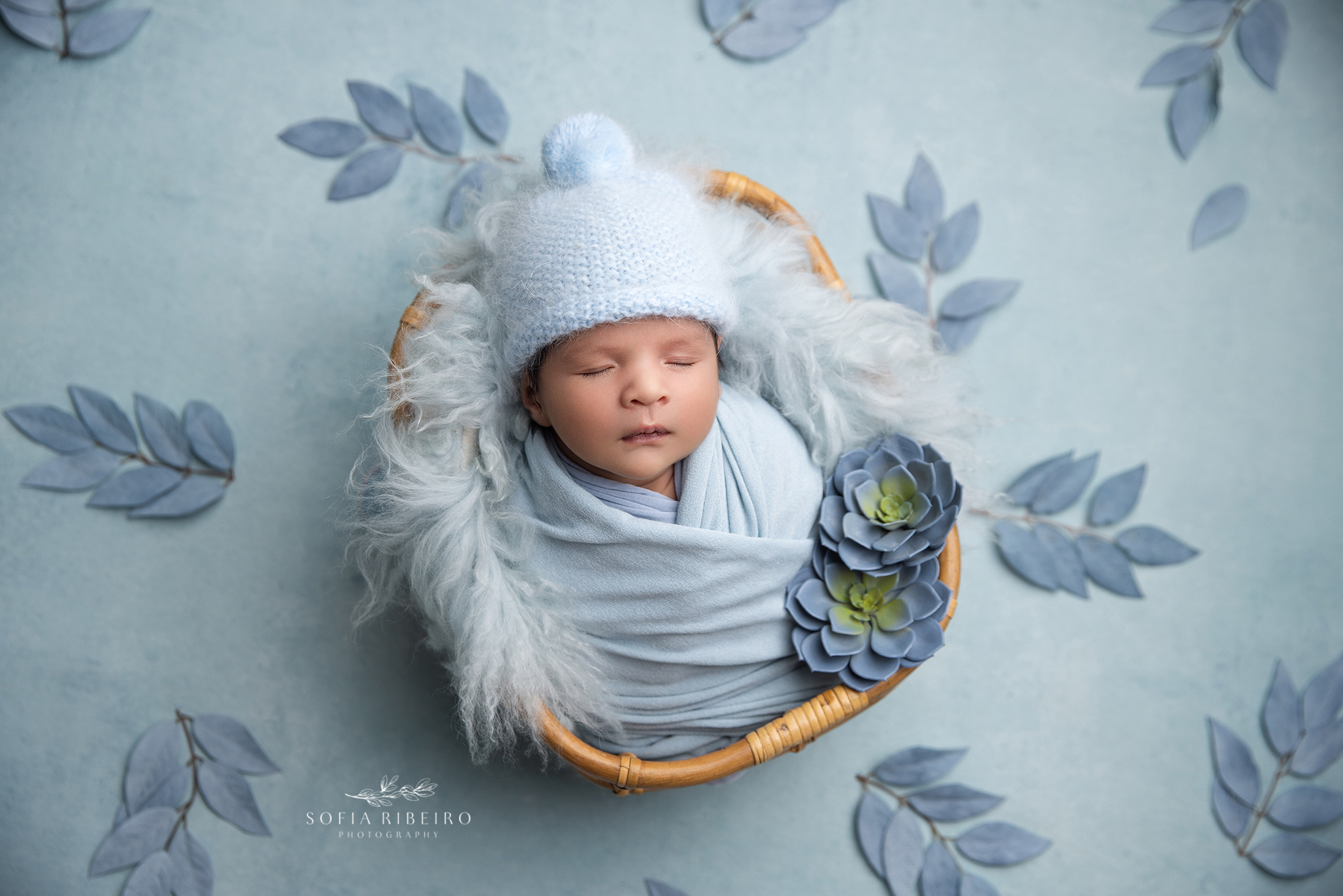 Essex County Newborn Photographer