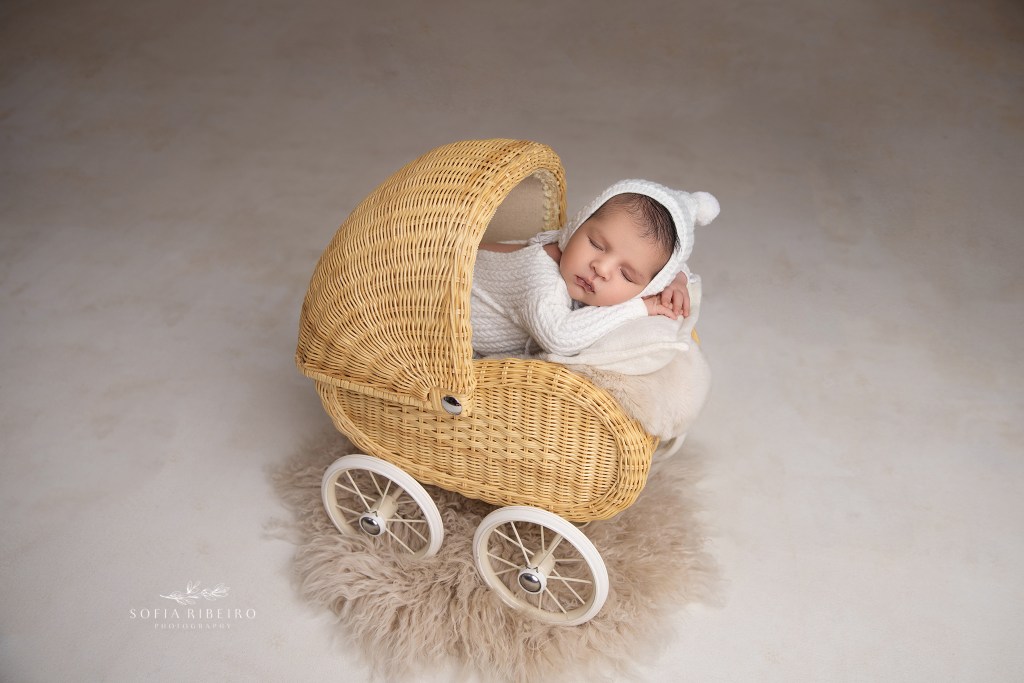 Newborn boy resting in a vintage pram, mirroring a pose once created with his sister captured by an essex county nj newborn photographer