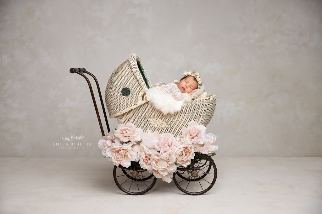 newborn baby girl is posed by an expert nj newborn photographer in a pram prop