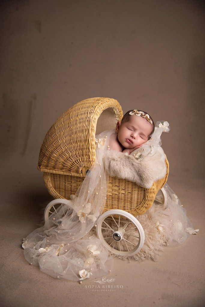 fanwood nj newborn photographer captures a new baby girl in a carriage prop