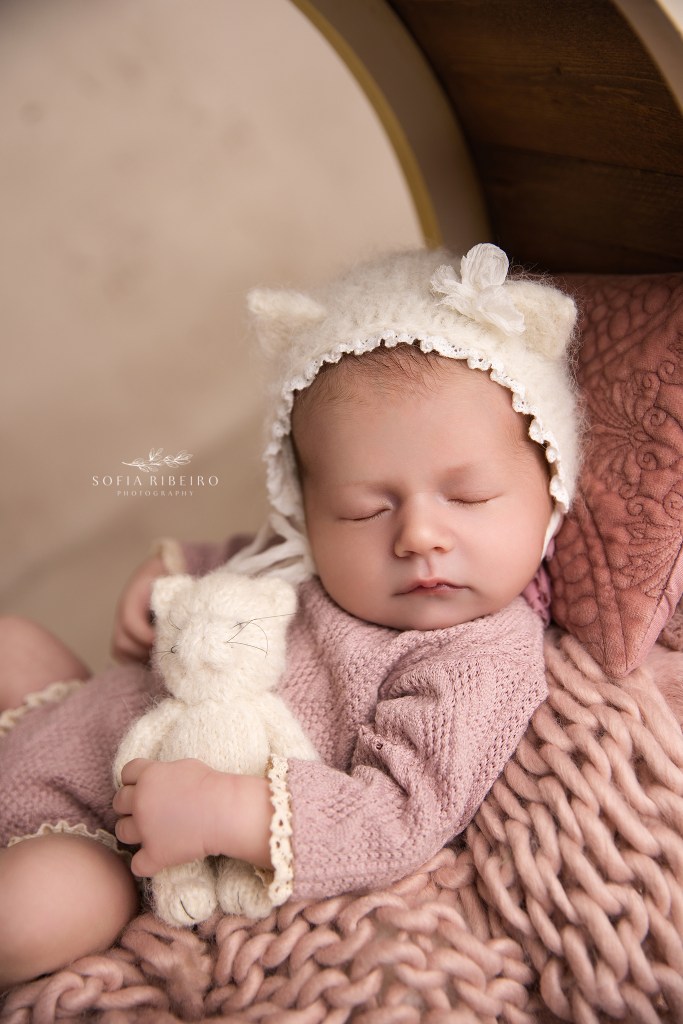 a snuggly little baby gil sleeps softly, holding a stuffed teddy and cat ears during a newborn photo session