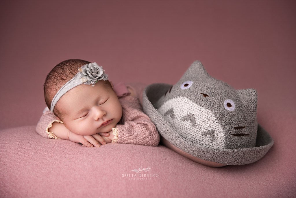 newborn baby girl is posed with a totoro hat during her newborn session