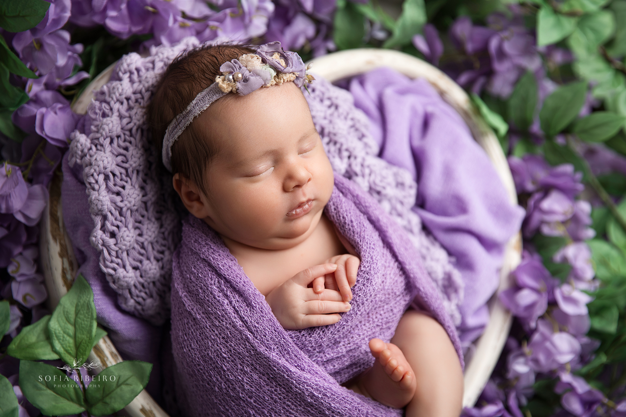 Sweet Dreams in Purple – NJ Newborn Session