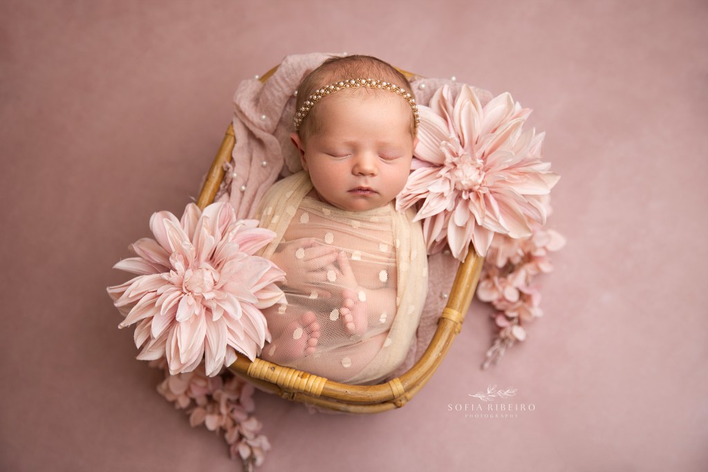 baby girl is posed in a basket for newborn photos