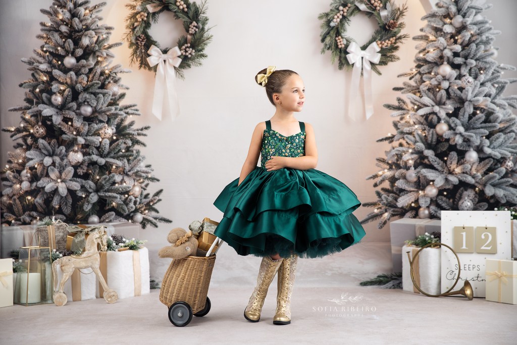 nj mini sessions for holidays and christmas